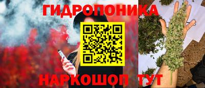 СК Аргун