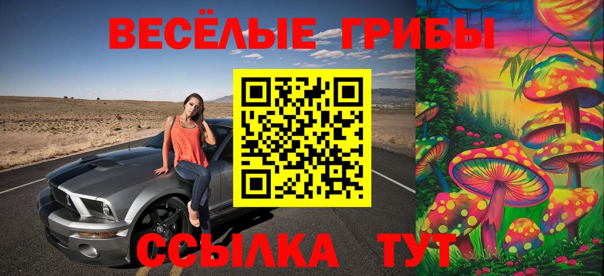 Выборг  магазин  наркотиков  Вход с VPN  Галлюциногенные грибы Psilocybine cubensis 
